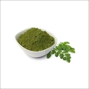 Moringa Extract