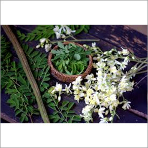 Moringa Dry Flower Grade: A