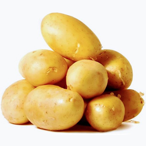 Fresh Potato By THIRU BALAJI TRADERS