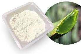 Aloe Vera Spray Dried Powder