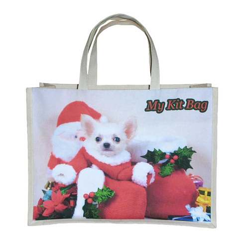 Promotion Gift Bag For Children With Self Handle