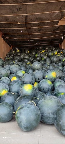 Fresh Watermelon