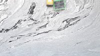 Viscon White Granite