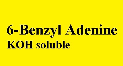 6benyl Adenine By V. PHARMACHEM