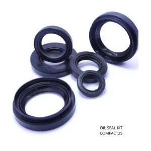 Oil Seal Kit Compaq 2S (JHANSI By EN IMPEX