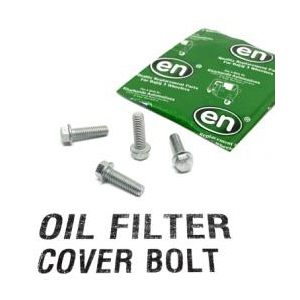 Oil Filter Cover Bolt