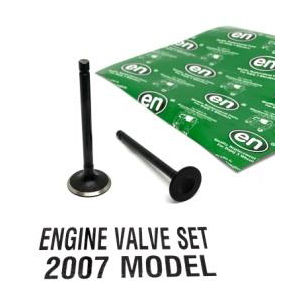 Engine Valve Set 2007M