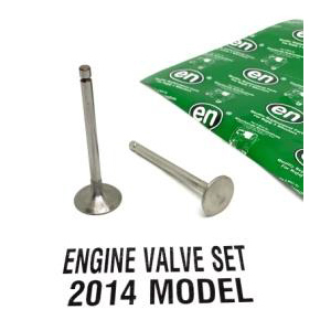 Engine Valve Set 2014M