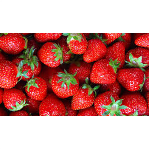 Organic Fresh Strawberry