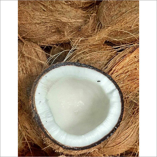 Natural Coconut