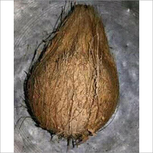 Natural Husked Coconut