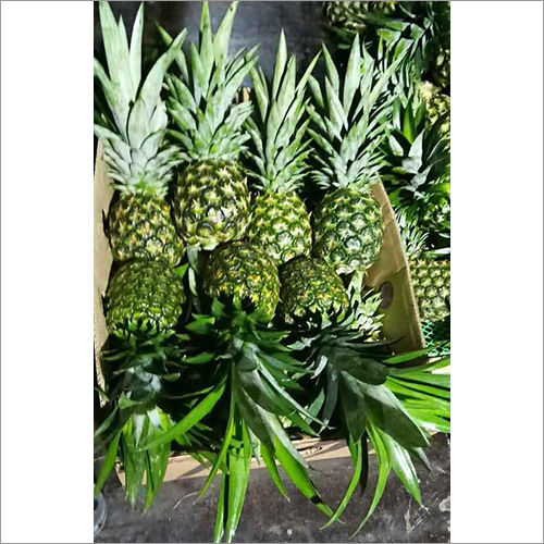 Fresh Pineapple