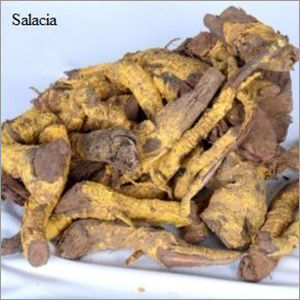 Dry Salacia