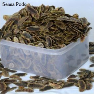 Senna Pods By P S S GANESAN AND SONS