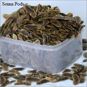 Senna Pods