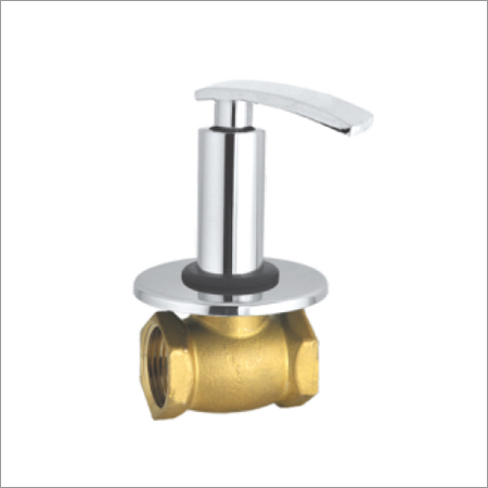 Flush Valve With Wall Flange
