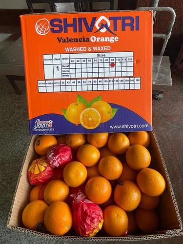 Organic Valencia Orange