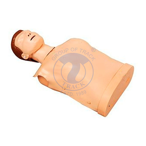 CPR Training Manikin (Torso)