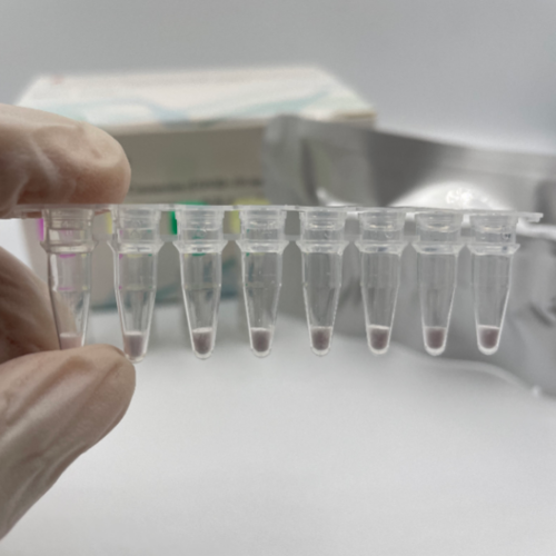 Freeze-Dried Novel Coronavirus (Covid-19) Nucleic Detection Kit (Fluorescence Pcr Method)