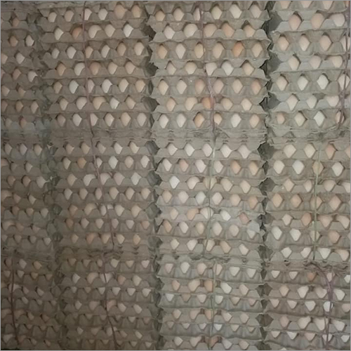 White Egg