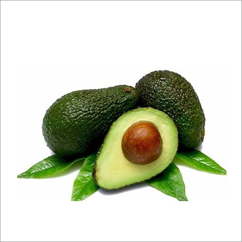 Avocado Suppliers, Nashpati Exporters and Manufacturers