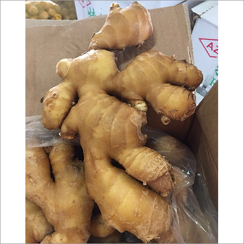 Fresh Ginger By SIPSO TROPICAL DRINK CO., LTD.