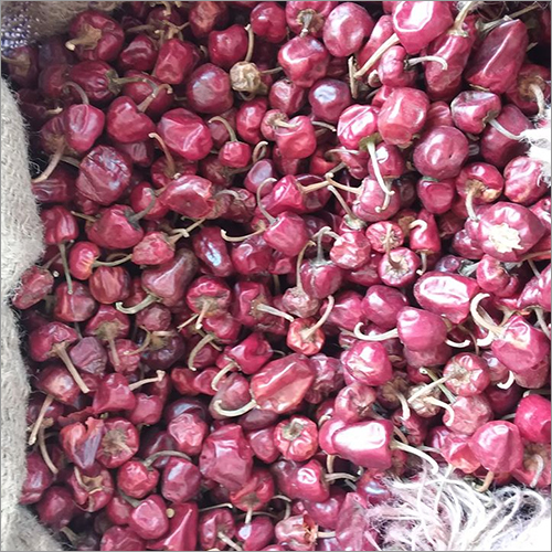 Fresh Red Chilli