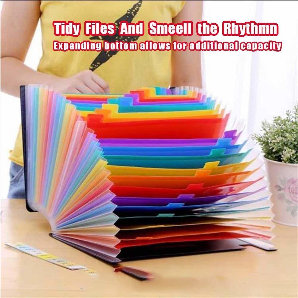 24 Pocket Rainbow Expanding Folder
