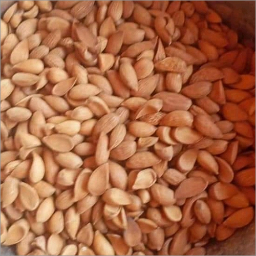 Kashmiri Mamra Giri Grade: A Grade