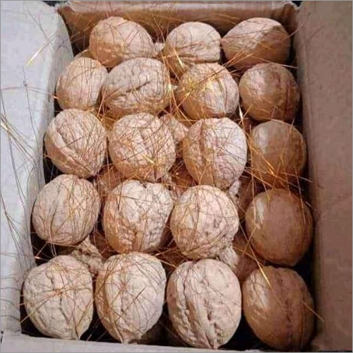Kashmiri Walnut - Hard Texture, Loose Form, Max. Moisture 5% | 100% Purity, 2-Year Shelf Life, Easy Transport in Sacks