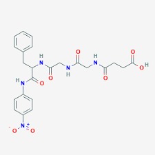 Chymotrypsin Api Cas No: 9004-07-3