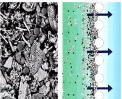 Alpha Cellulose Powder