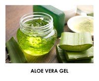 Aloe Vera Gel Powder