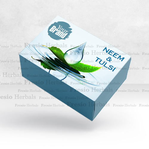 Neem And Tulsi Bath Soap Manufacturing