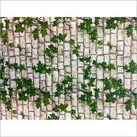 Leaf Wall Self Adhesive Stickers