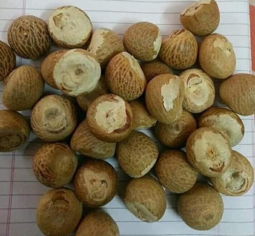 Bettle Nut