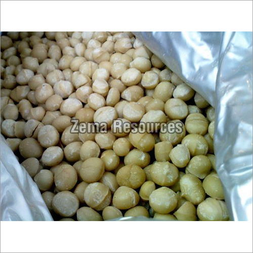 Macadamia Nuts By ZEMA RESOURCES