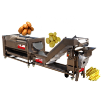 Full Automatic Vegetable And Fruit Washing Line