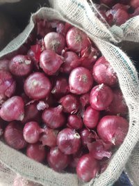 Onion Super quality(Large)