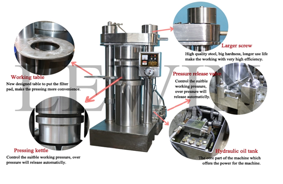 Almond Oil Hydraulic Press Machine