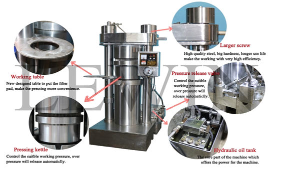 Castor Oil Hydraulic Press Machine