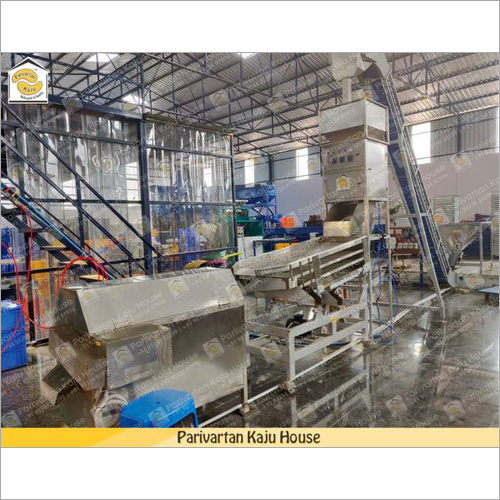 Commercial Automatic Cashew Processing Plant