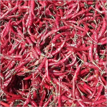Dried Teja S17