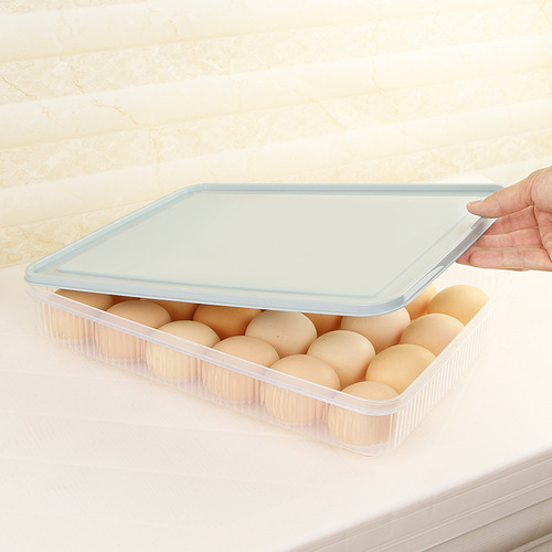 24 Grid Plastic Egg Storage Box