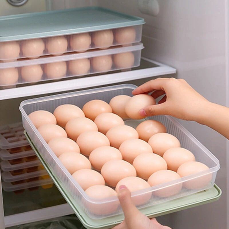 24 Grid Plastic Egg Storage Box