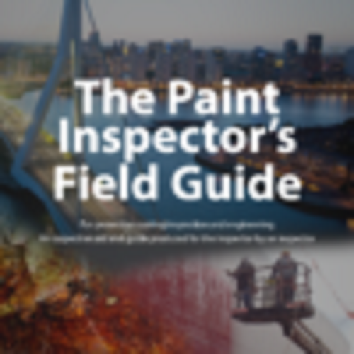 Tqcsheen The Paint Inspector S Field Guide (New) Application: Yes