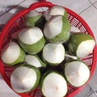 Fresh young coconut