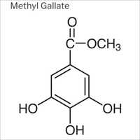 Methyl Gallate