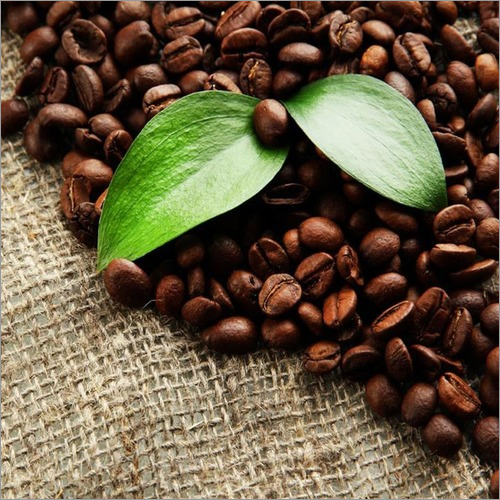 Dark Brown Coffee Beans
