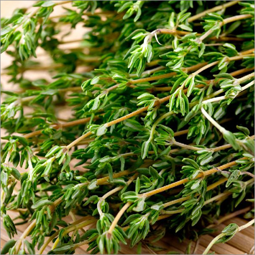 Fresh Thyme